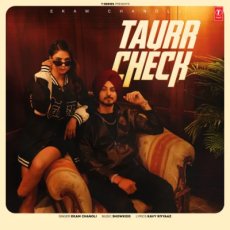 Taurr Check Ekam Chanoli Taurr Check Ekam Chanoli